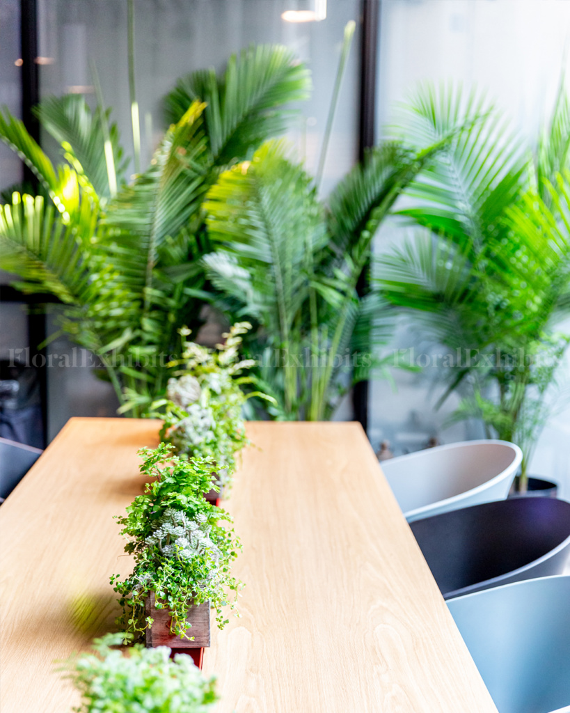 Plant rentals and flower designs nationwide